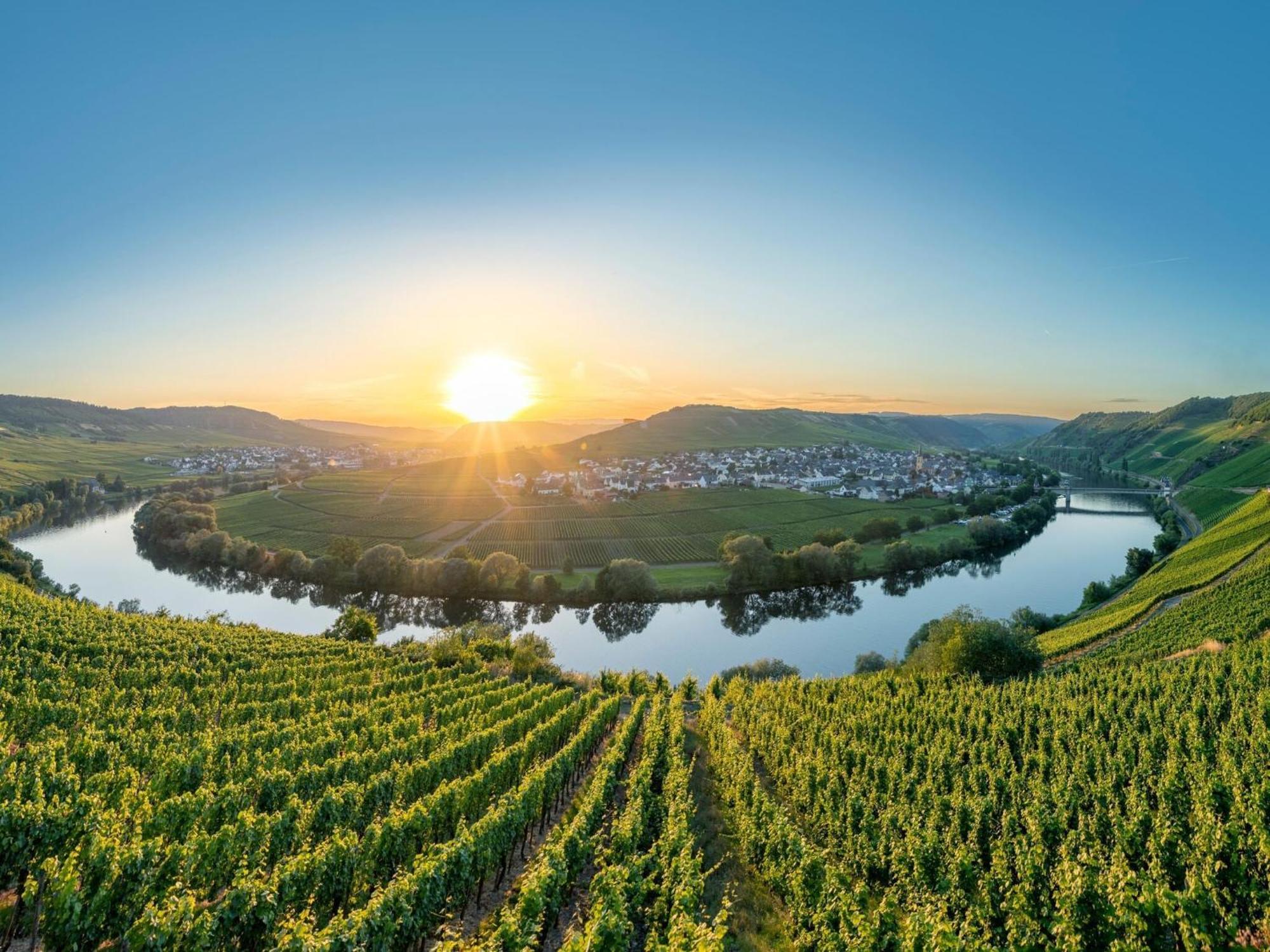 Holiday Home In The Eifel-Mosel With Garden Roes Dış mekan fotoğraf